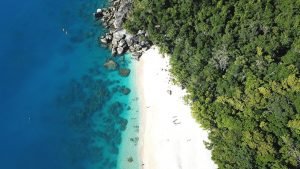 Green Island or Fitzroy Island for Snorkeling? | Pin This Trip