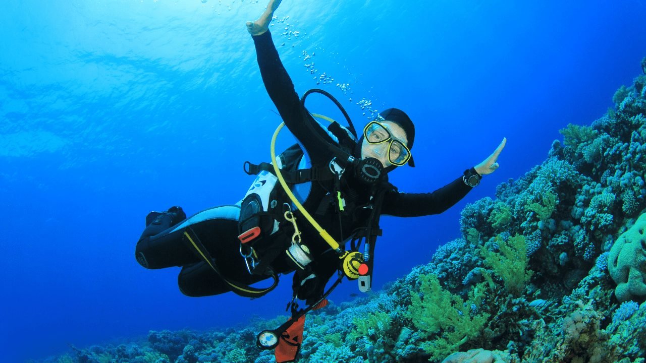 Cairns adrenaline activities | Cairns Reef Scuba Diving