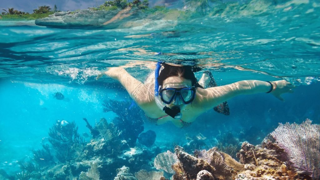 snorkeling the Great Barrier Reef from Cairns