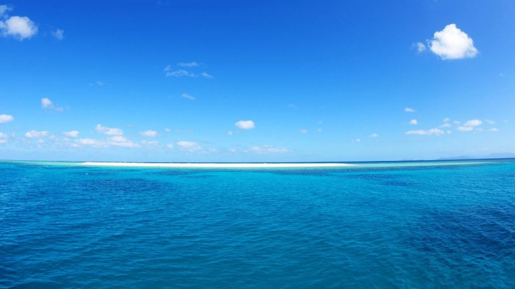 View of Michaelmas Cay off the coast of Cairns, Far North Queensland