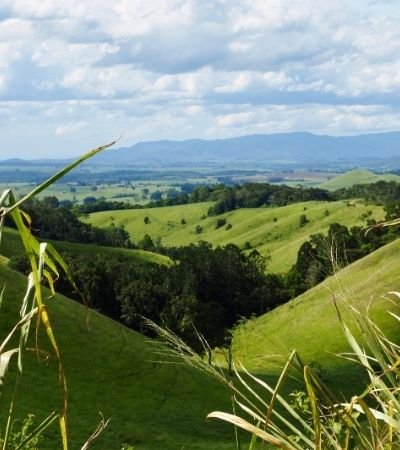 rolling green hills of the Atherton Tablelands Queensland