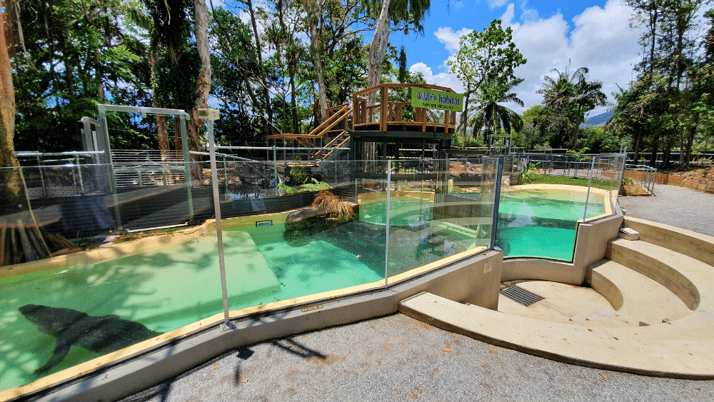 Wildlife Habitat Port Douglas - Boyd oh Boyd Do you think