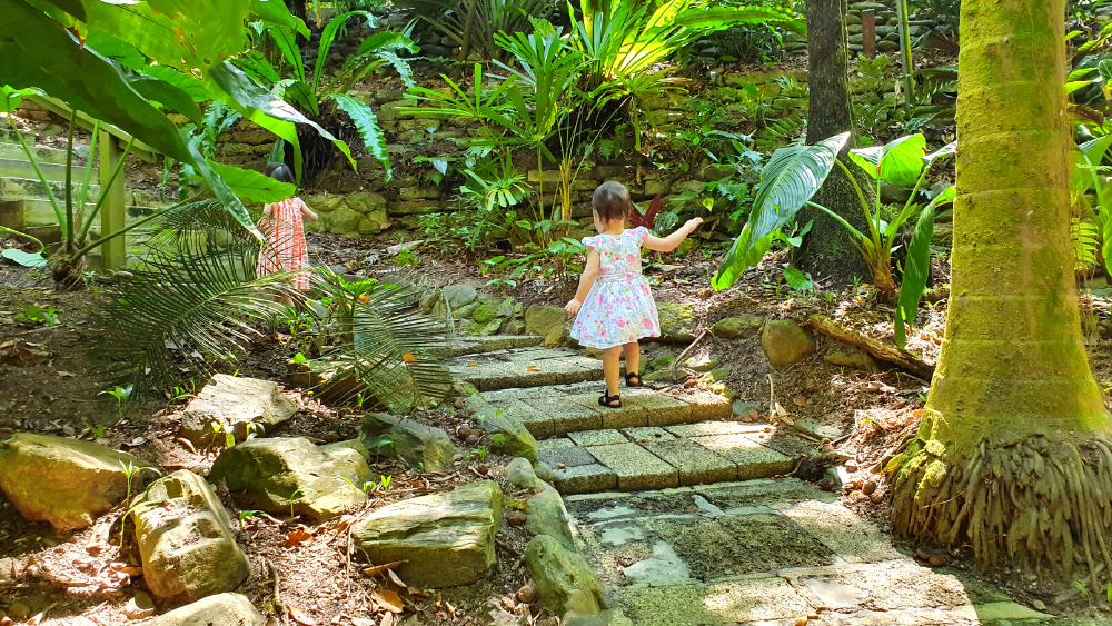 Young girls exploring the staired pathways of the Cairns Botanical Gardens Flecker Gardens